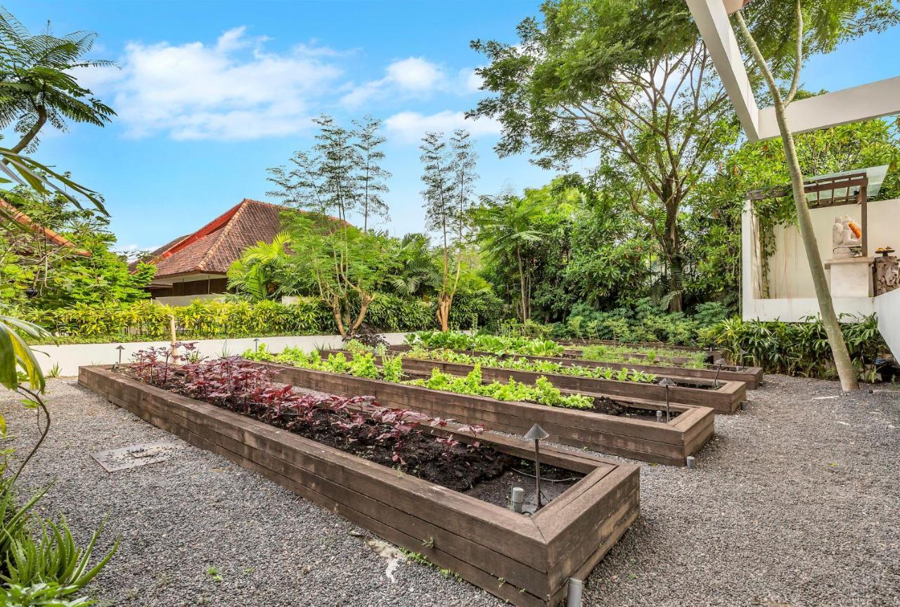 Bisma Eight Villas Ubud  Luaran gambar