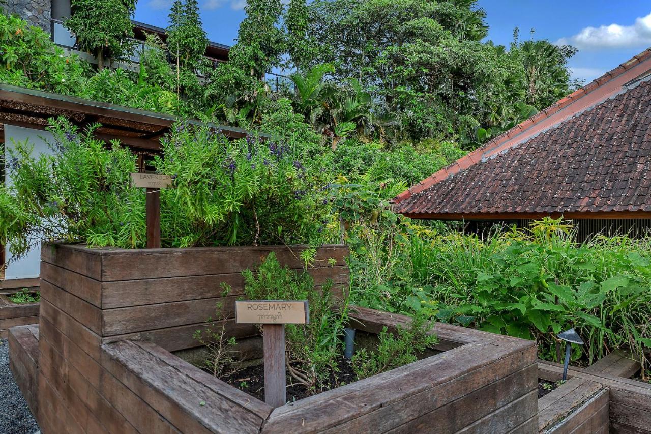 Bisma Eight Villas Ubud  Luaran gambar